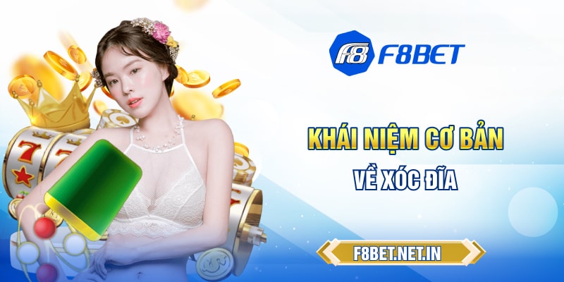 Khái niệm cơ bản về xóc đĩa
