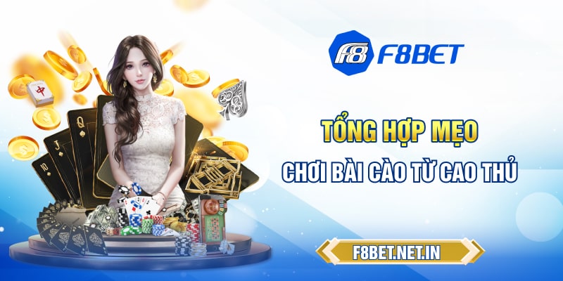 Hành động có trong bài cào